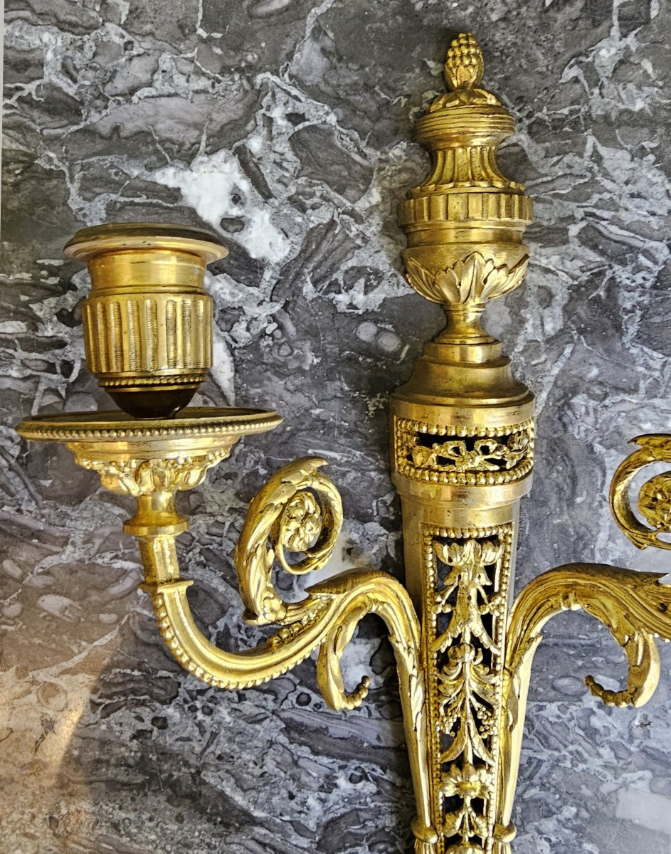Appliques  Louis XVI Directoire Vers 1790  H. 36 Cm, L. 26 Cm, P. 14 Cm -photo-6