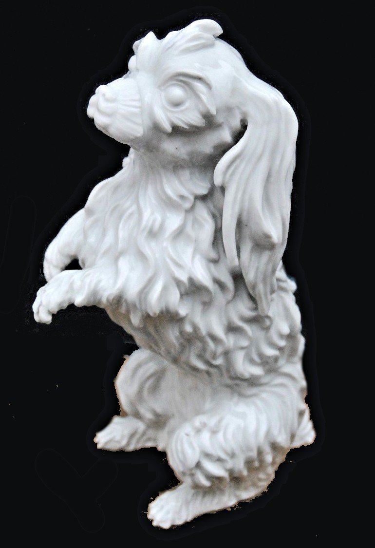 Bologna Dog, Making Meissen Male Circa 1750 Porcelain Johann Joachim Kaendler-photo-2