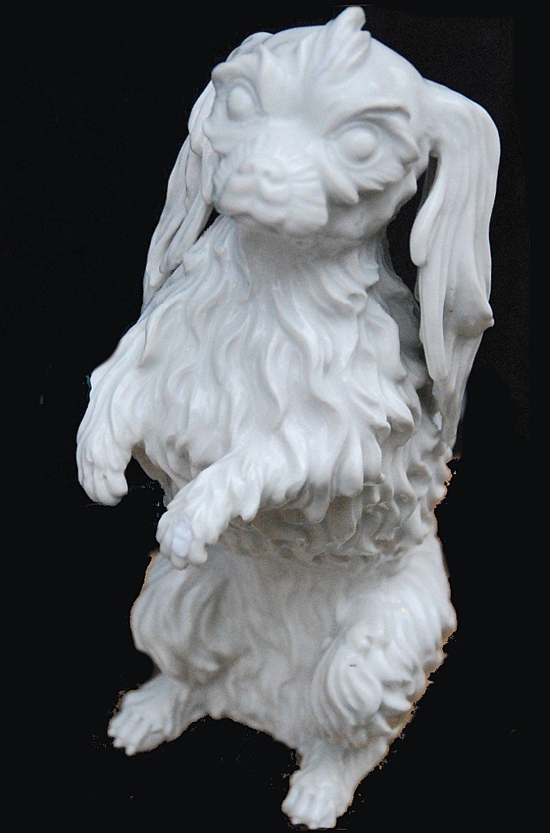 Chien De Bologne, Faisant Le Mâle  Meissen Vers 1750  Porcelaine  Johann Joachim Kaendler-photo-4