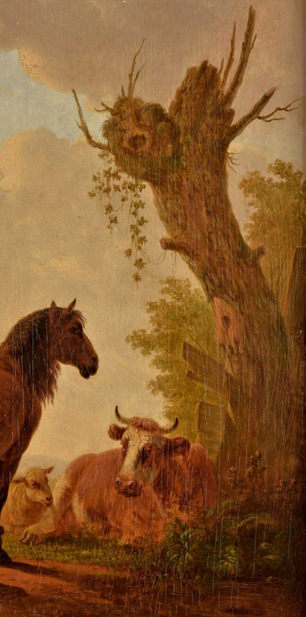 Jacob Van Stry  Strij 1756 Dordrecht - 1815 Dordrecht  Paysage De Prairie Avec étalon  Signé  -photo-2