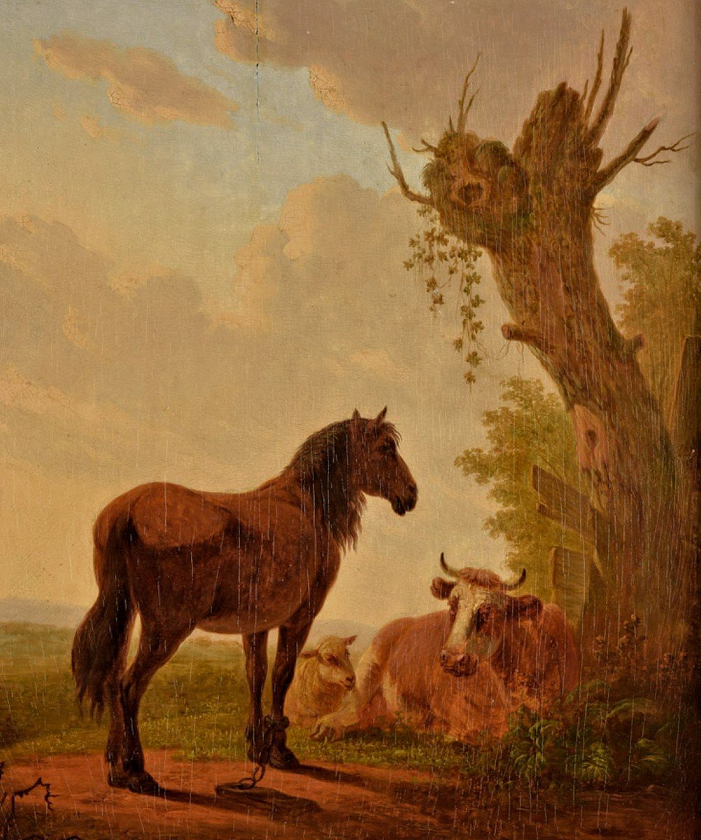 Jacob Van Stry  Strij 1756 Dordrecht - 1815 Dordrecht  Paysage De Prairie Avec étalon  Signé  -photo-3