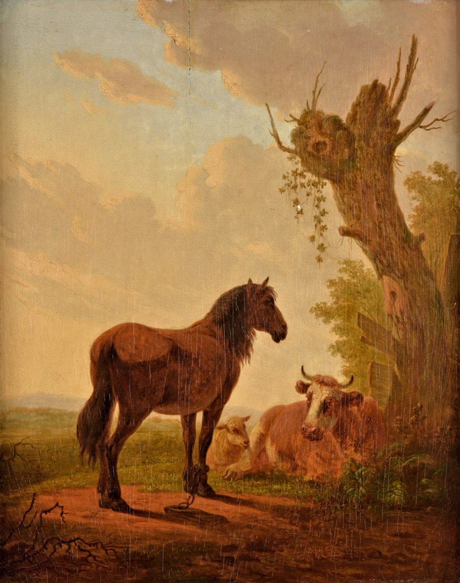 Jacob Van Stry  Strij 1756 Dordrecht - 1815 Dordrecht  Paysage De Prairie Avec étalon  Signé  -photo-4