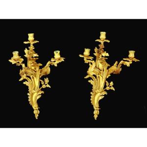 Pair Of Louis XV 19th Century Sconces. H. 56 Cm (!!)