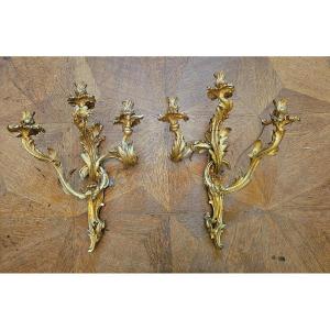 Louis XV Wall Lights 19th Century. H. 57 Cm (without Candles) Subsequently Electrified