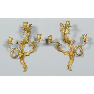 Louis XV Wall Lights 19th Century. H. 45 Cm