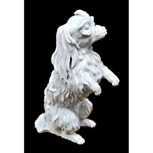 Chien De Bologne, Faisant Le Mâle  Meissen Vers 1750  Porcelaine  Johann Joachim Kaendler