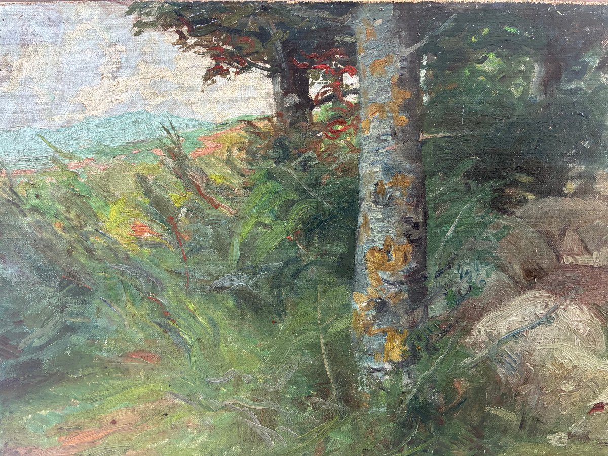 Le repos à l' ombre des arbres. PANERAI Ruggero.( 1862-1923). Ecole Italienne.-photo-4