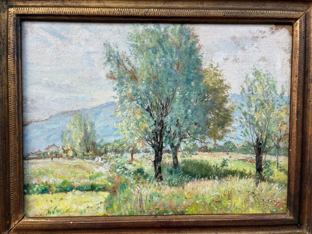 Impressionist Landscape By Théodore Douzon (1829–1914).-photo-4