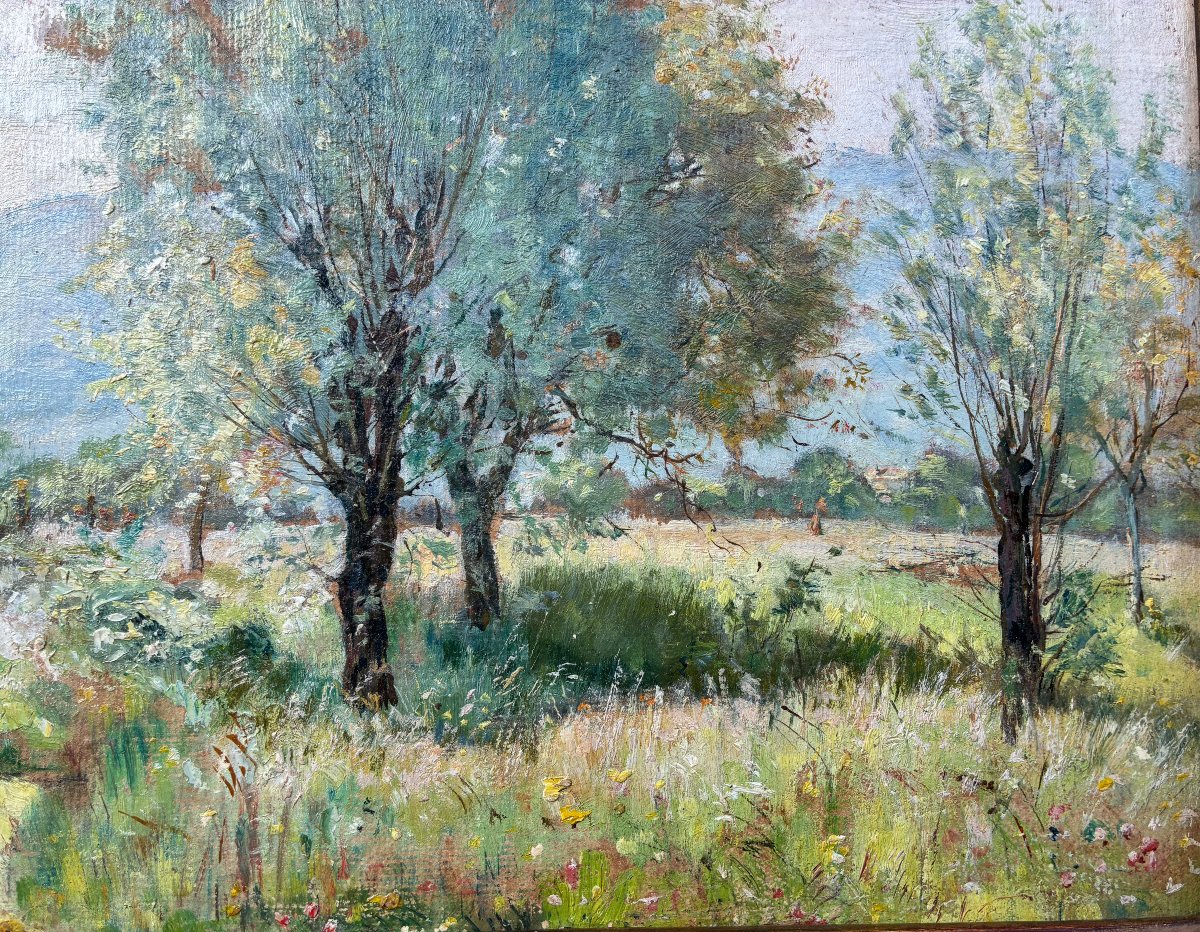 Impressionist Landscape By Théodore Douzon (1829–1914).-photo-7