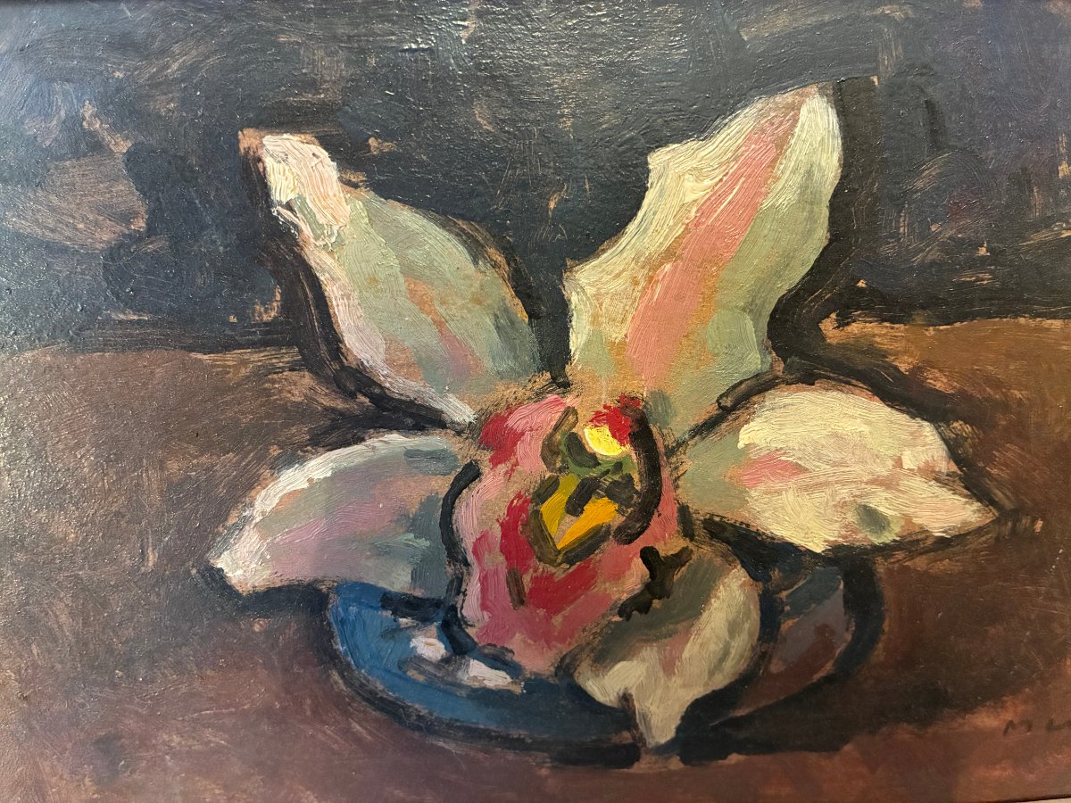 The Orchid. Conrad Meili. Signed, Dated 64.-photo-1