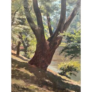 Sunny Riverbank. Fa Bonnardel. (1867-1942).