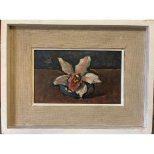 The Orchid. Conrad Meili. Signed, Dated 64.
