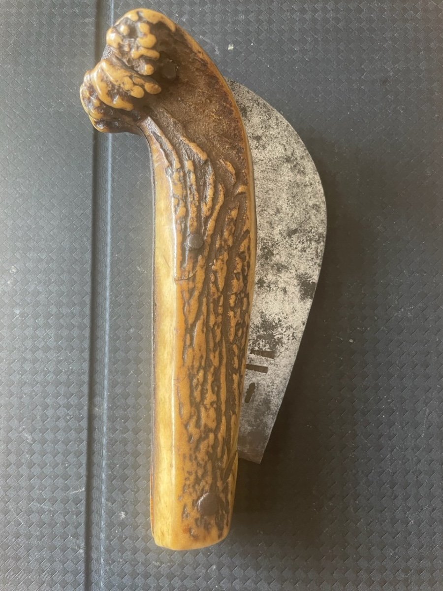 Couteau Serpette De Vigneron ,Manche Corne De Cerf XIX Siècle -photo-4