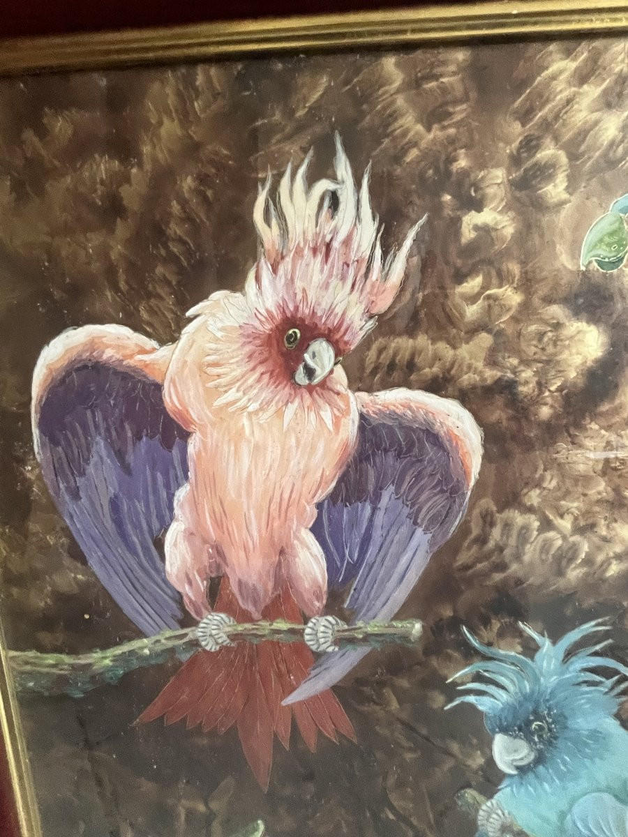 technique mixte cacatoès serpent 1949 Pierre RAFFY (1919-1986)-photo-2