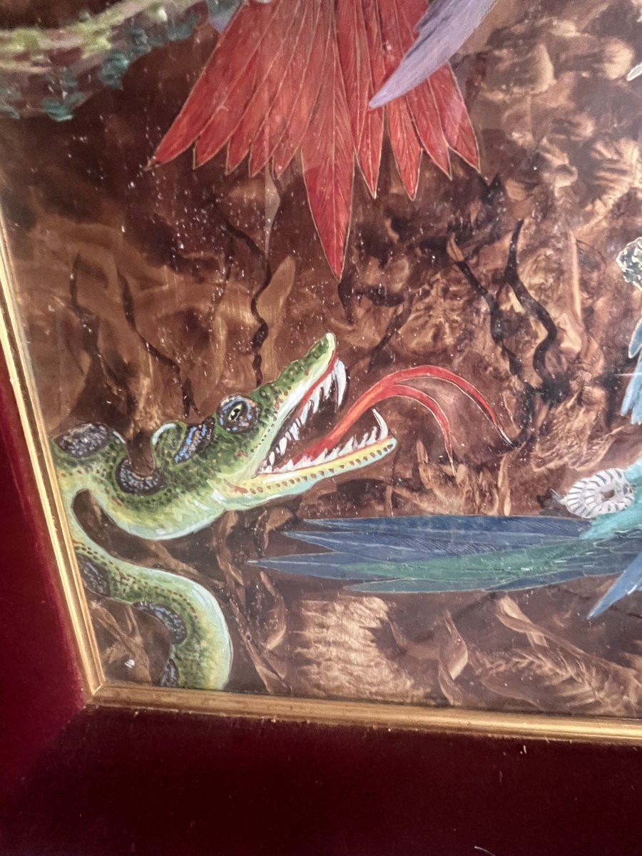 technique mixte cacatoès serpent 1949 Pierre RAFFY (1919-1986)-photo-4