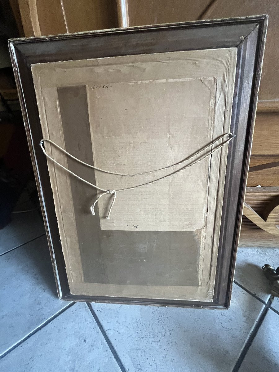 technique mixte cacatoès serpent 1949 Pierre RAFFY (1919-1986)-photo-3