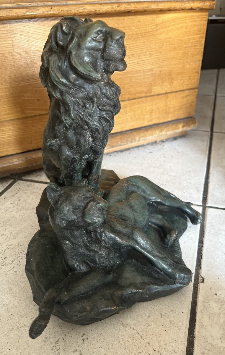Bronze "lion And Lioness" By Leon Bureau, 19th Century -photo-3