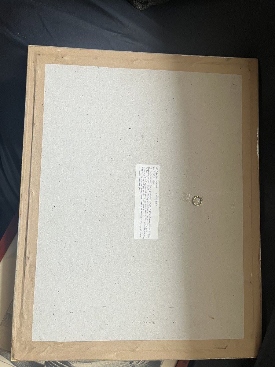 André COTTAVOZ : pastel gras-photo-2