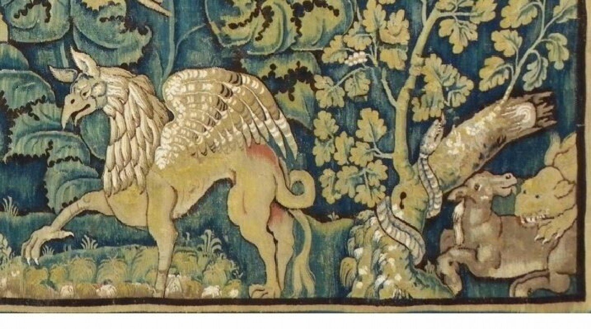 Aristoloche Oudenaarde Tapestry XVI Century.-photo-4