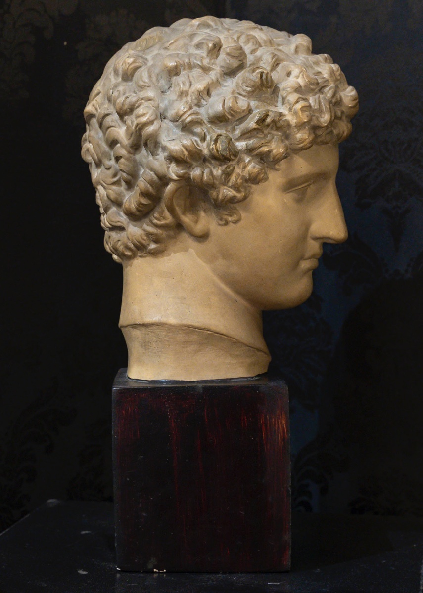 Patinated Plaster Bust-photo-4