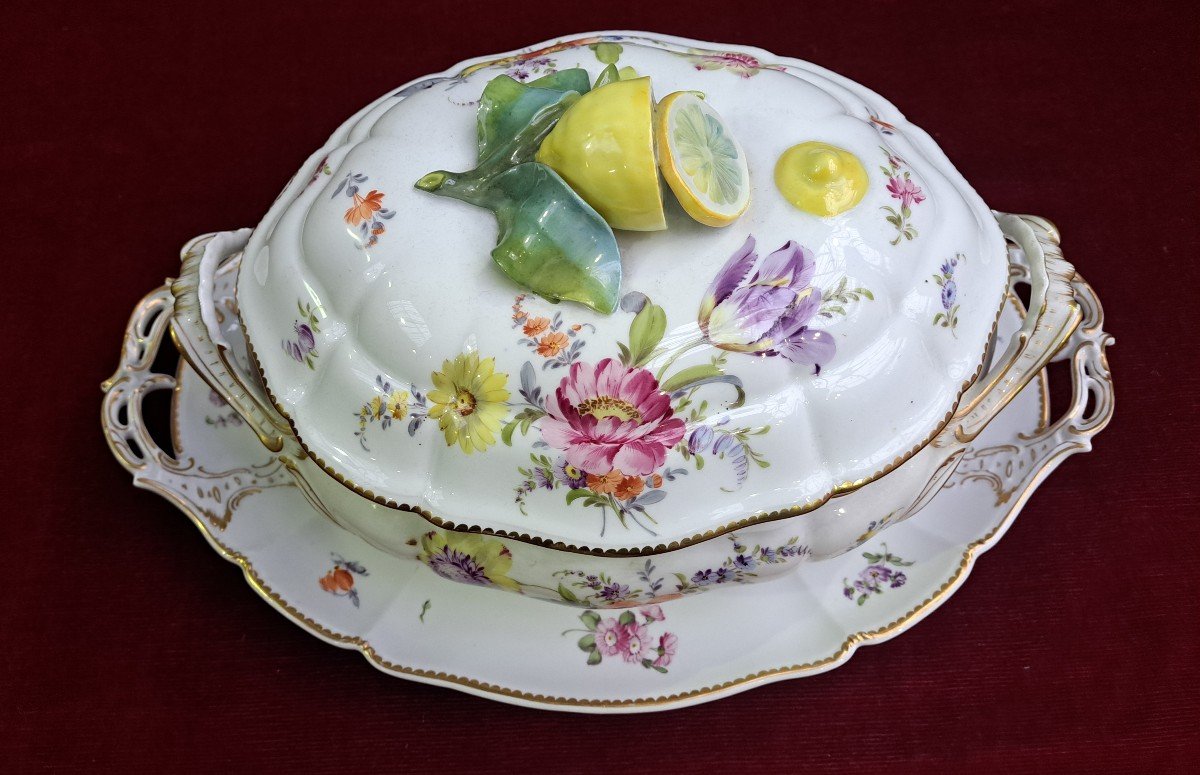  Nymphenburg Porcelain Soup Tureen-photo-4