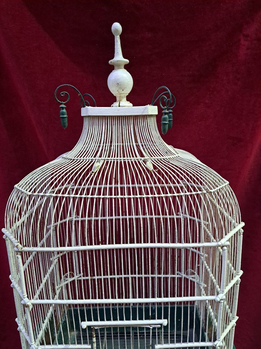 Cage à oiseaux fin 19e-photo-1