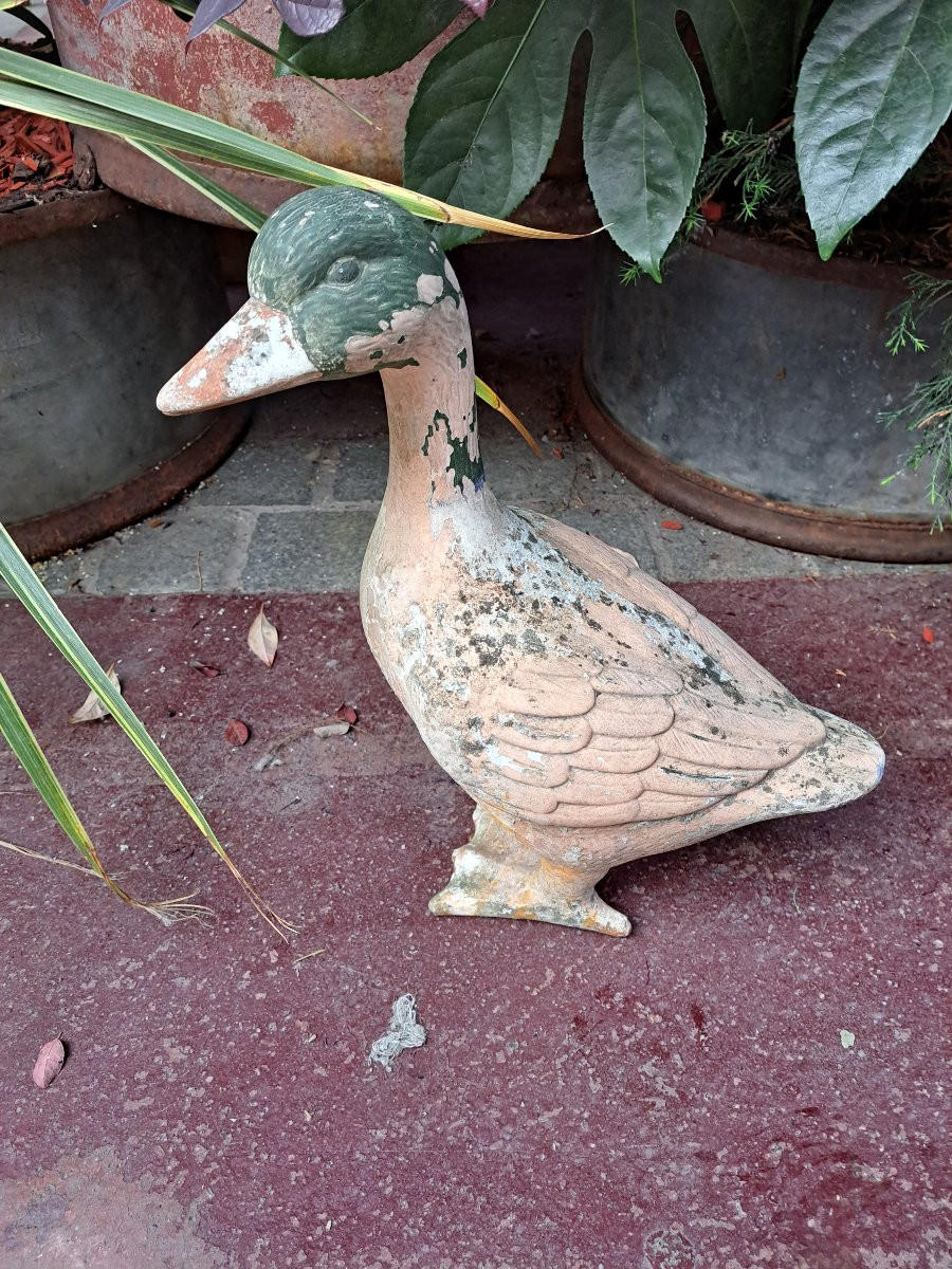 A Clay Goose-photo-3