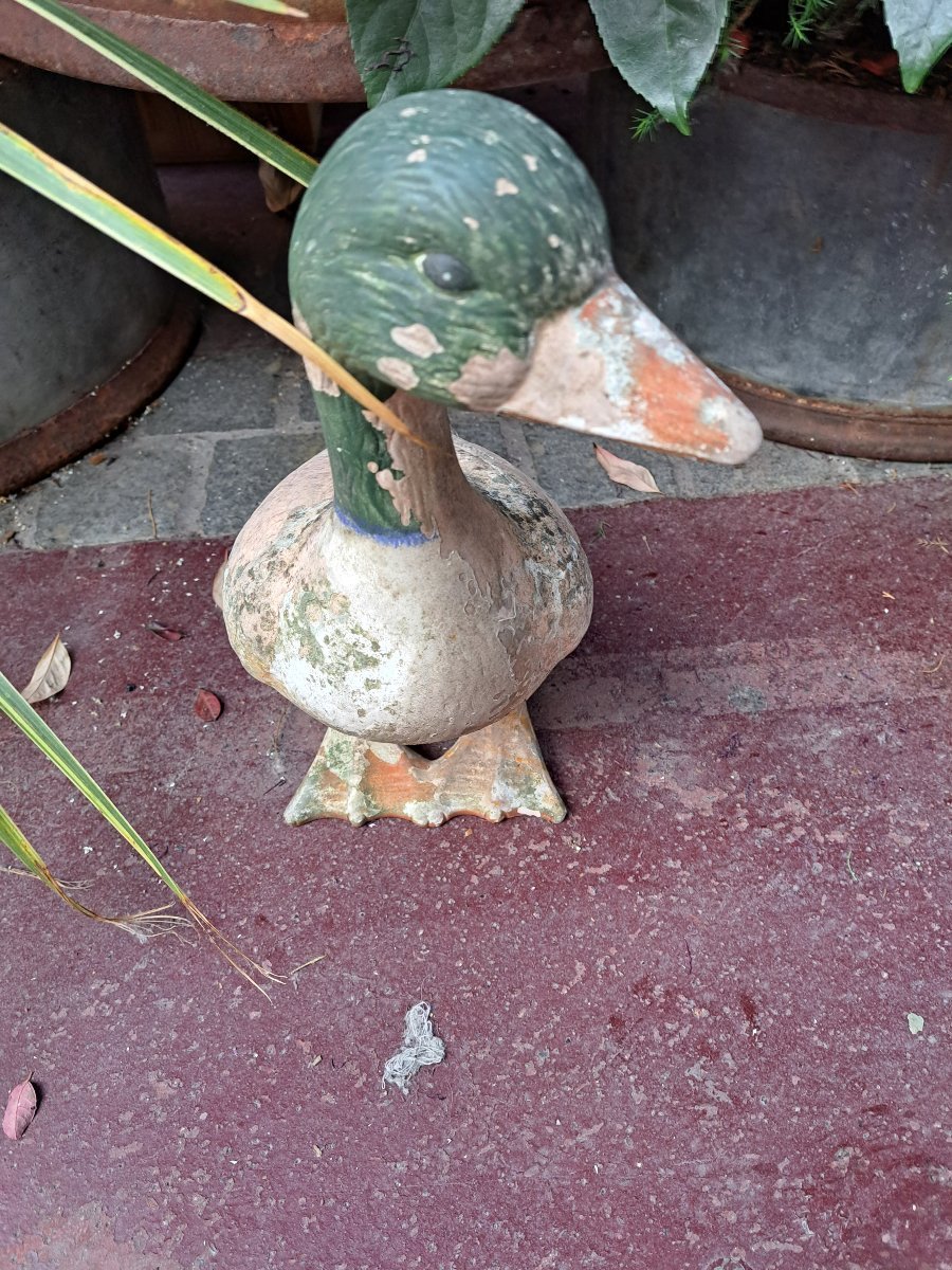 A Clay Goose-photo-3