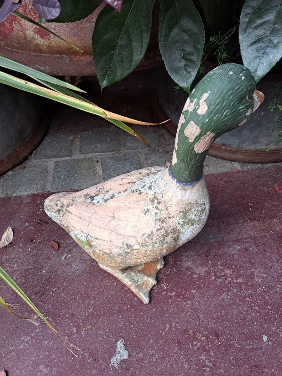 A Clay Goose-photo-4