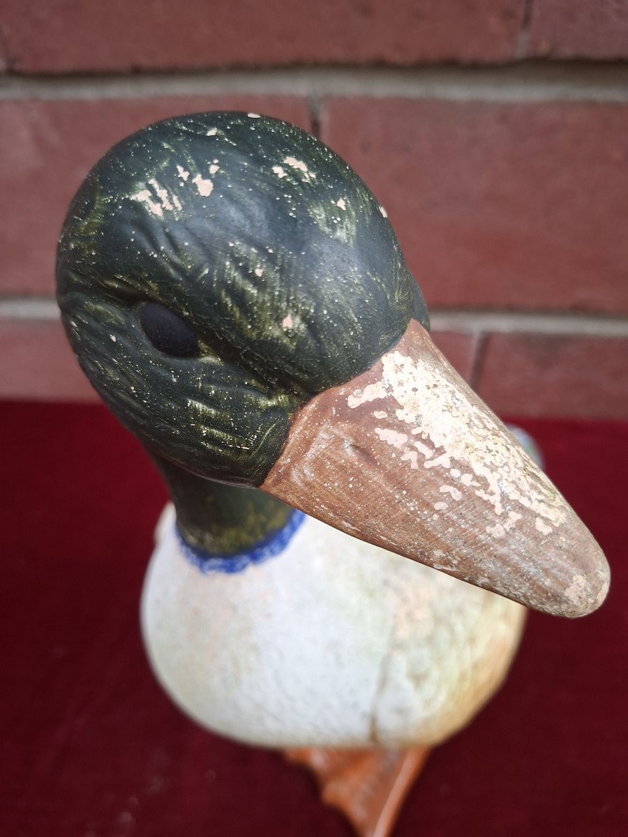 Clay Duck -photo-2