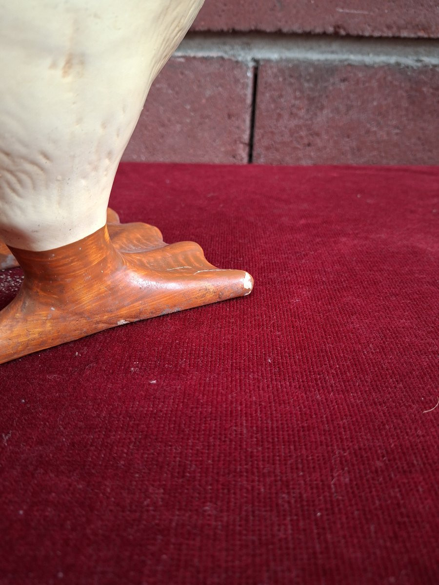 Clay Duck -photo-3