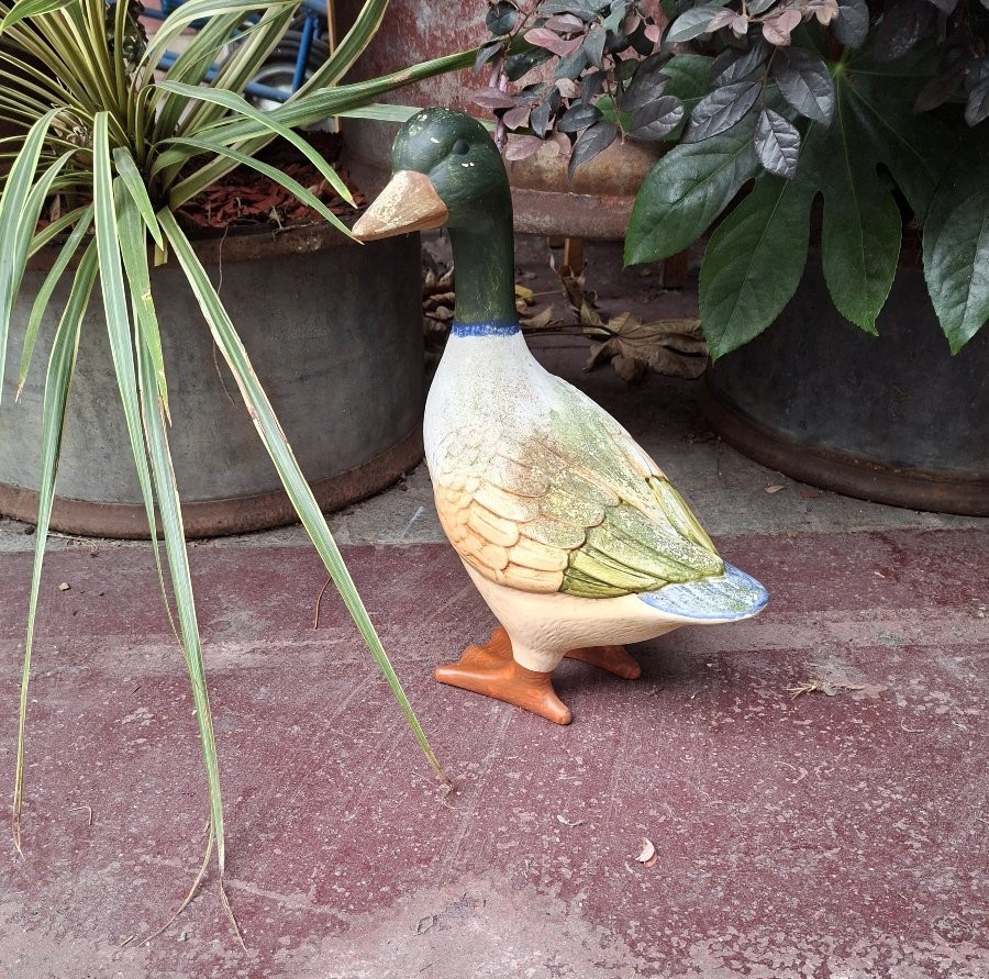 Clay Duck -photo-6
