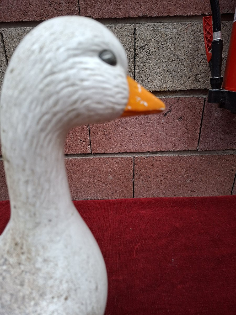 Une oie blanche-photo-6