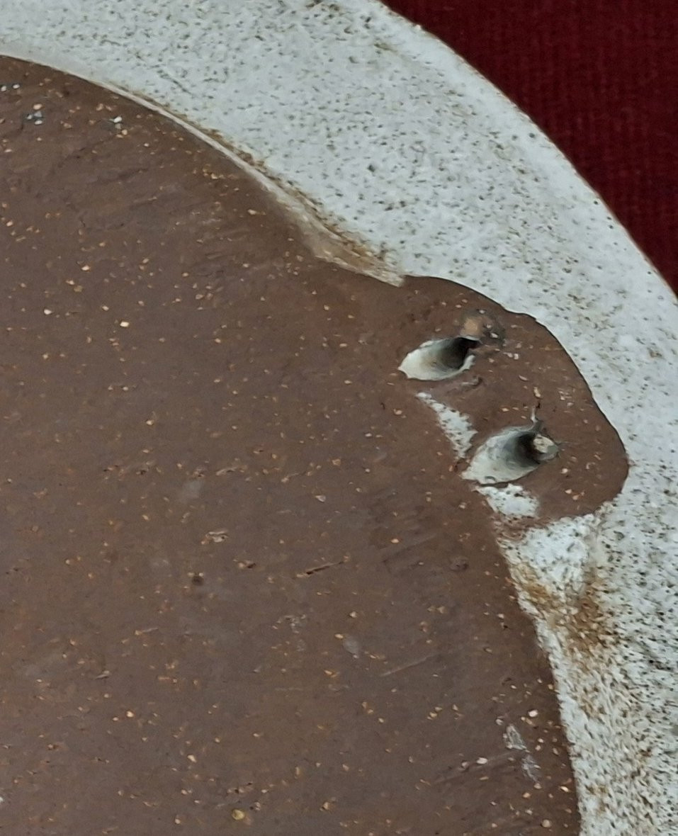 Albert Thiry Dish-photo-1
