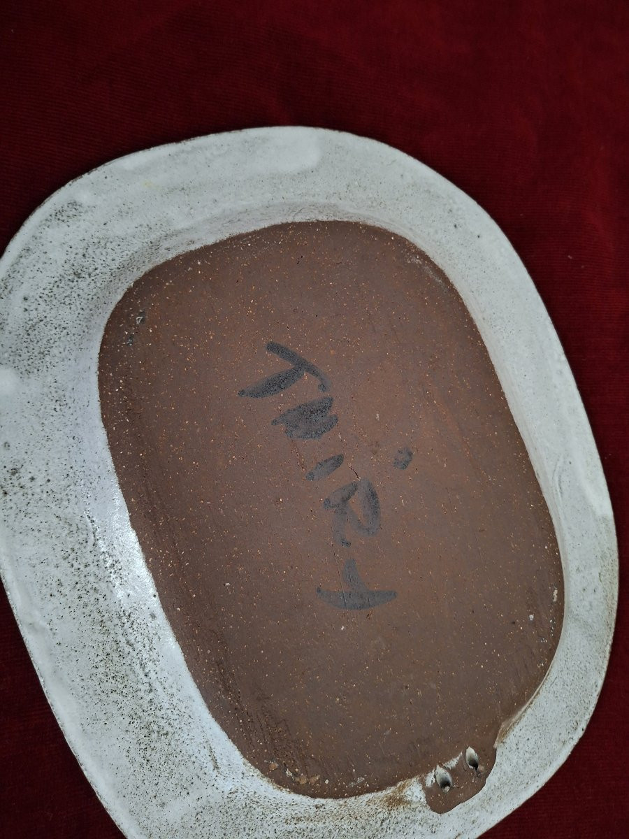 Albert Thiry Dish-photo-2