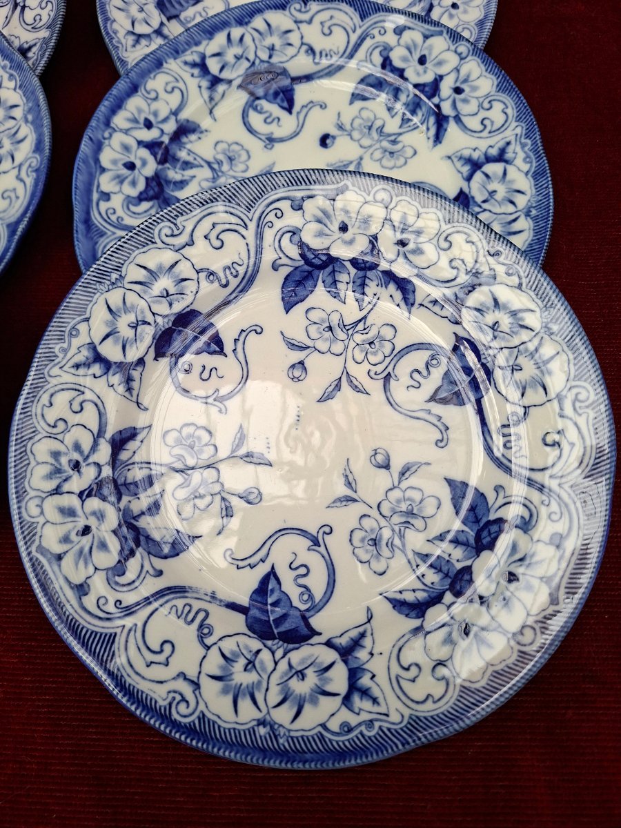 12 Dessert Plates From The Flora Collection-photo-4
