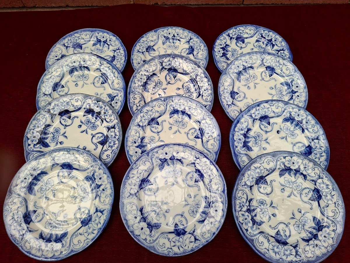 12 Dessert Plates From The Flora Collection-photo-2