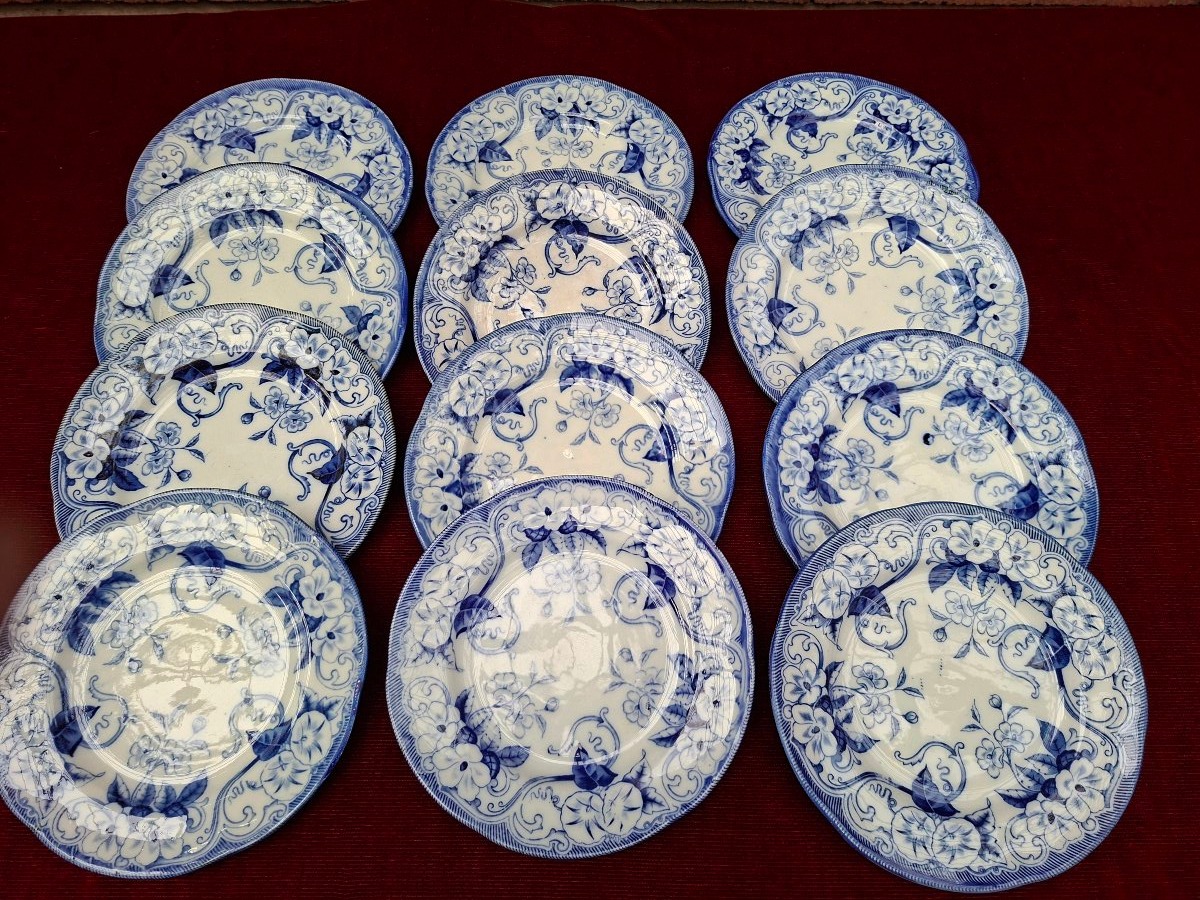 12 Dessert Plates From The Flora Collection