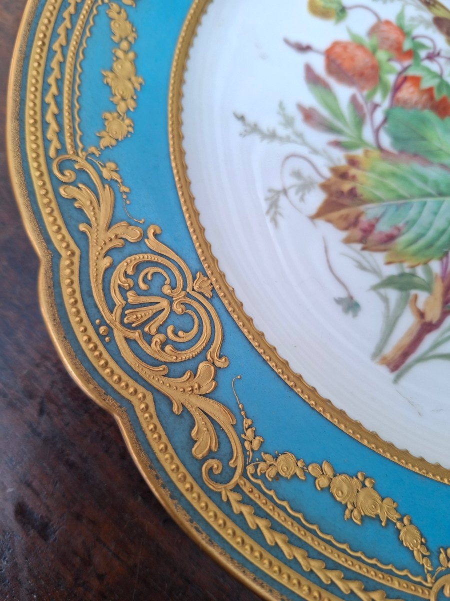 Assiette porcelaine de Sèvres -photo-2