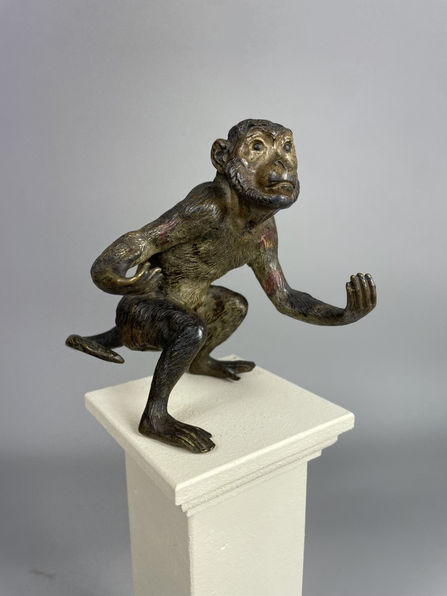 Bronze Monkey From Vienna, Signed F-? Probably For Franz Xavier Bergmann-photo-6