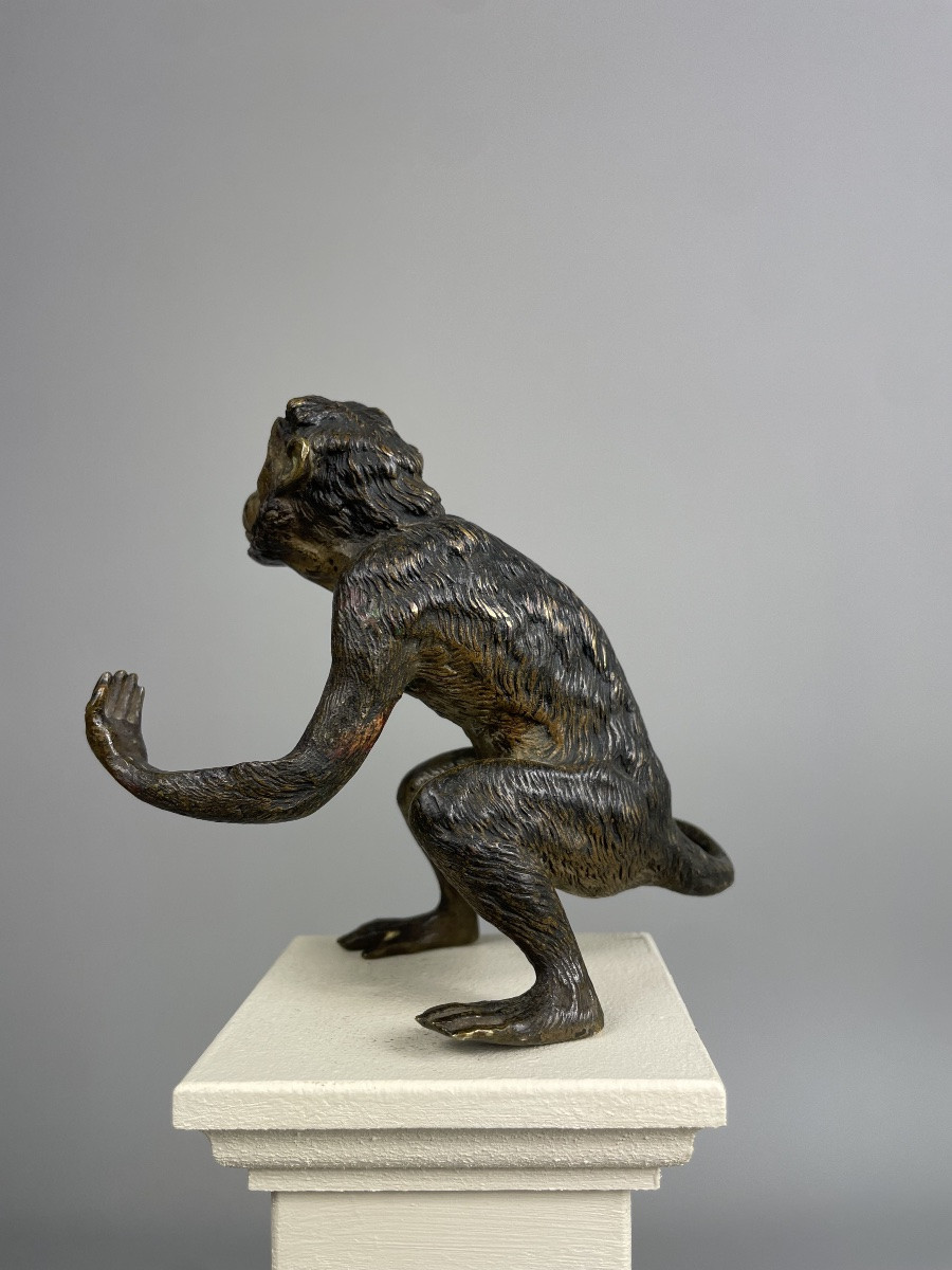 Bronze Monkey From Vienna, Signed F-? Probably For Franz Xavier Bergmann-photo-7