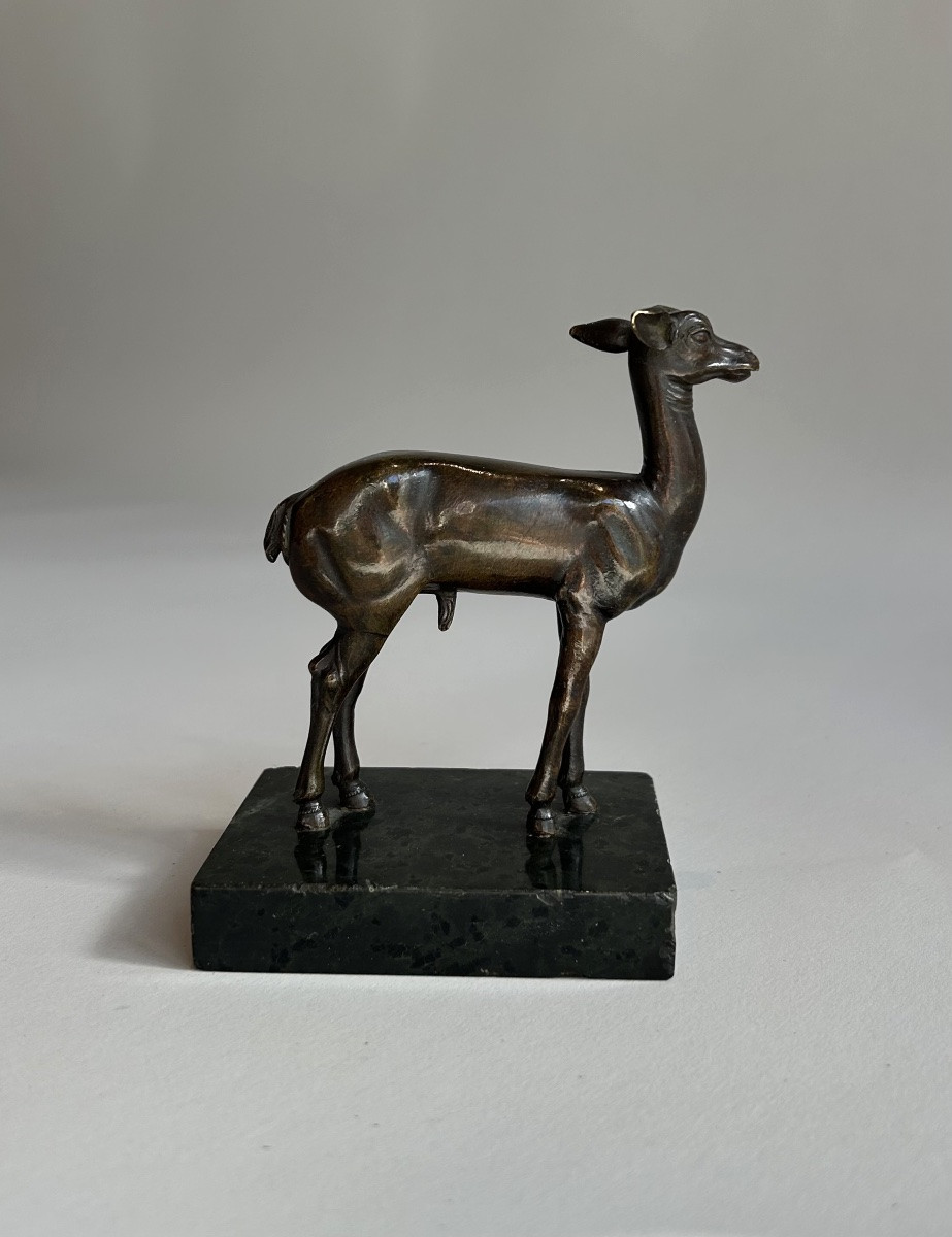 Faon en bronze, d’après l’antique de la Villa dei Papiri à Herculanum-photo-3