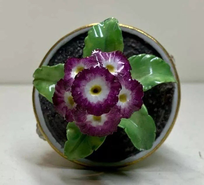 Rare Meissen Marcolini Flower Plant In A Tub Circa 1780 Porcelain-photo-2