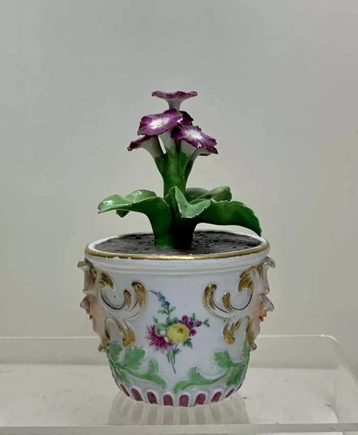 Rare Meissen Marcolini Flower Plant In A Tub Circa 1780 Porcelain-photo-1