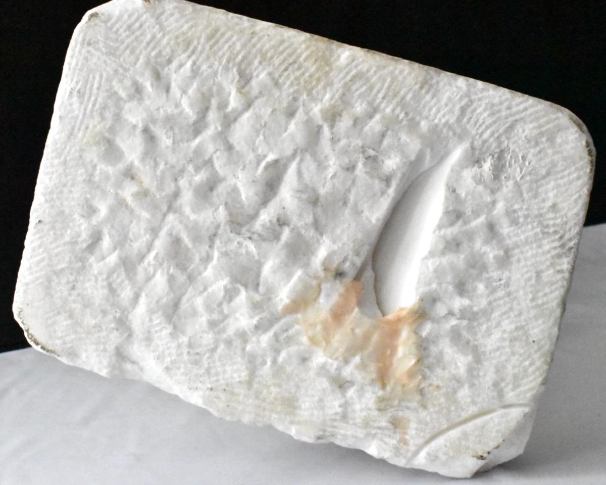 Grande statue antique en marbre « Discophoros », 58 cm de haut, vers le milieu du XIXe siècle-photo-8