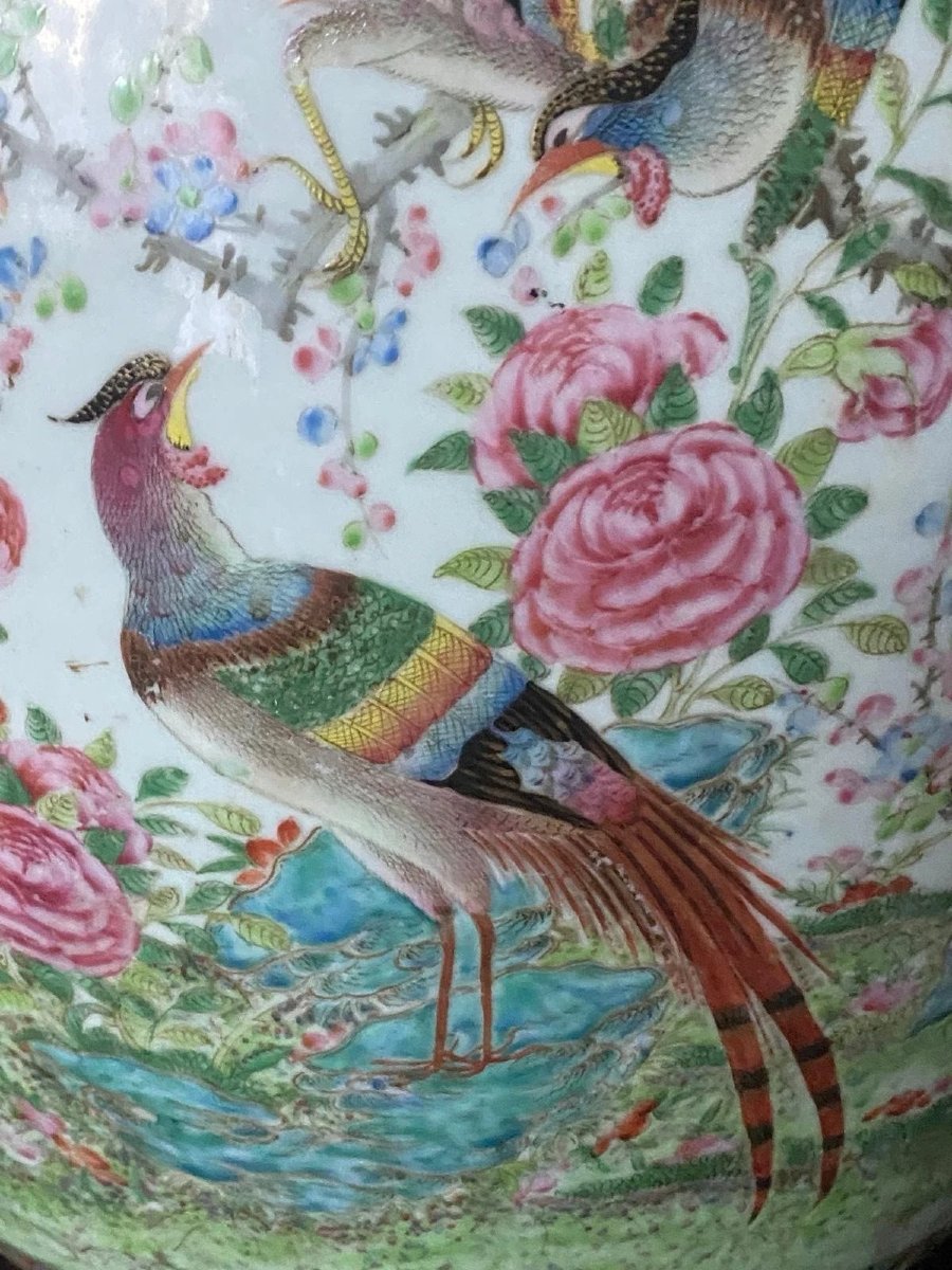 A Very Large Antique Qing Chinese Famille Rose Fish Bowl Or Jardiniere 51cm Tall-photo-6