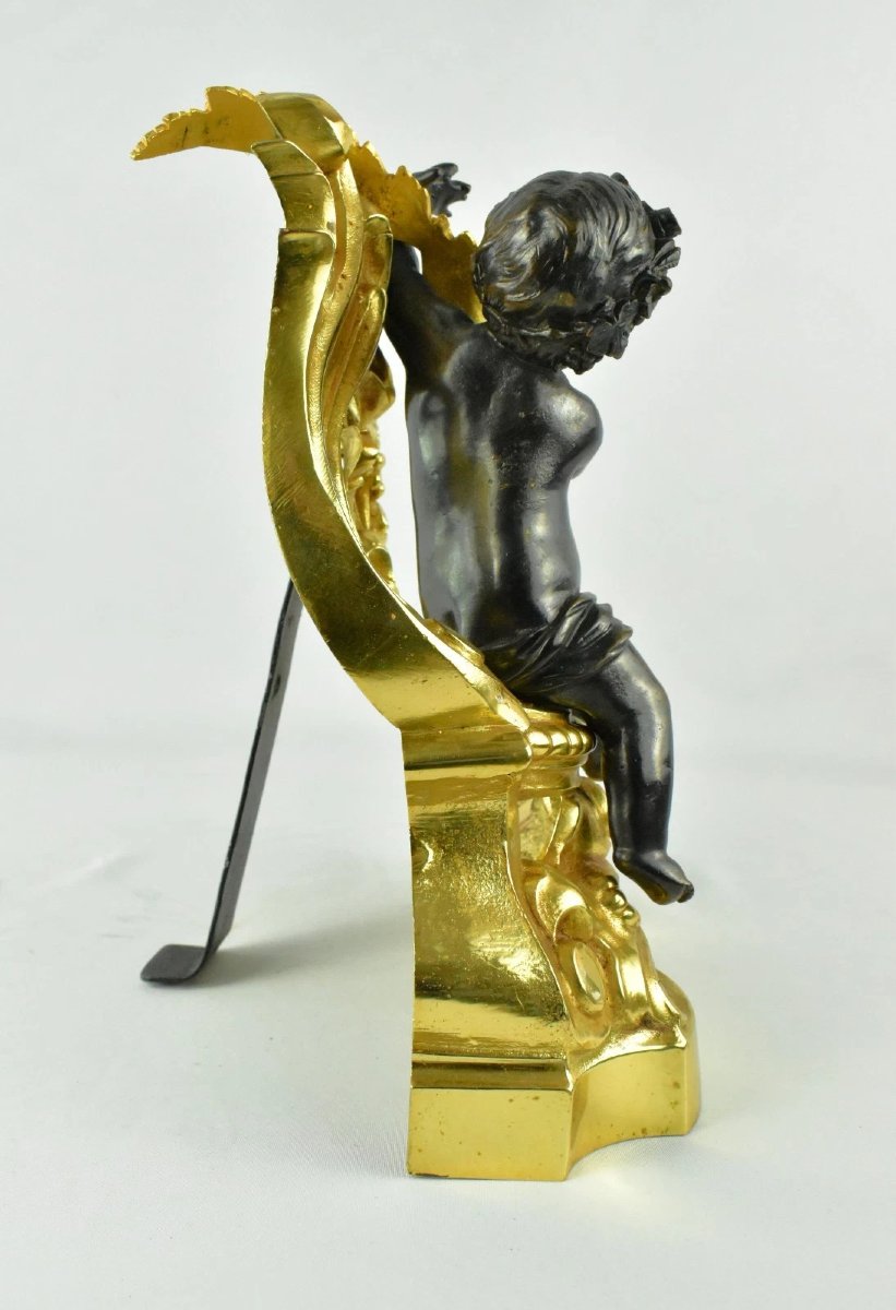 Pair Of French 19th-century Louis XV-style Gilt And Patinated Bronze Chenets-photo-3