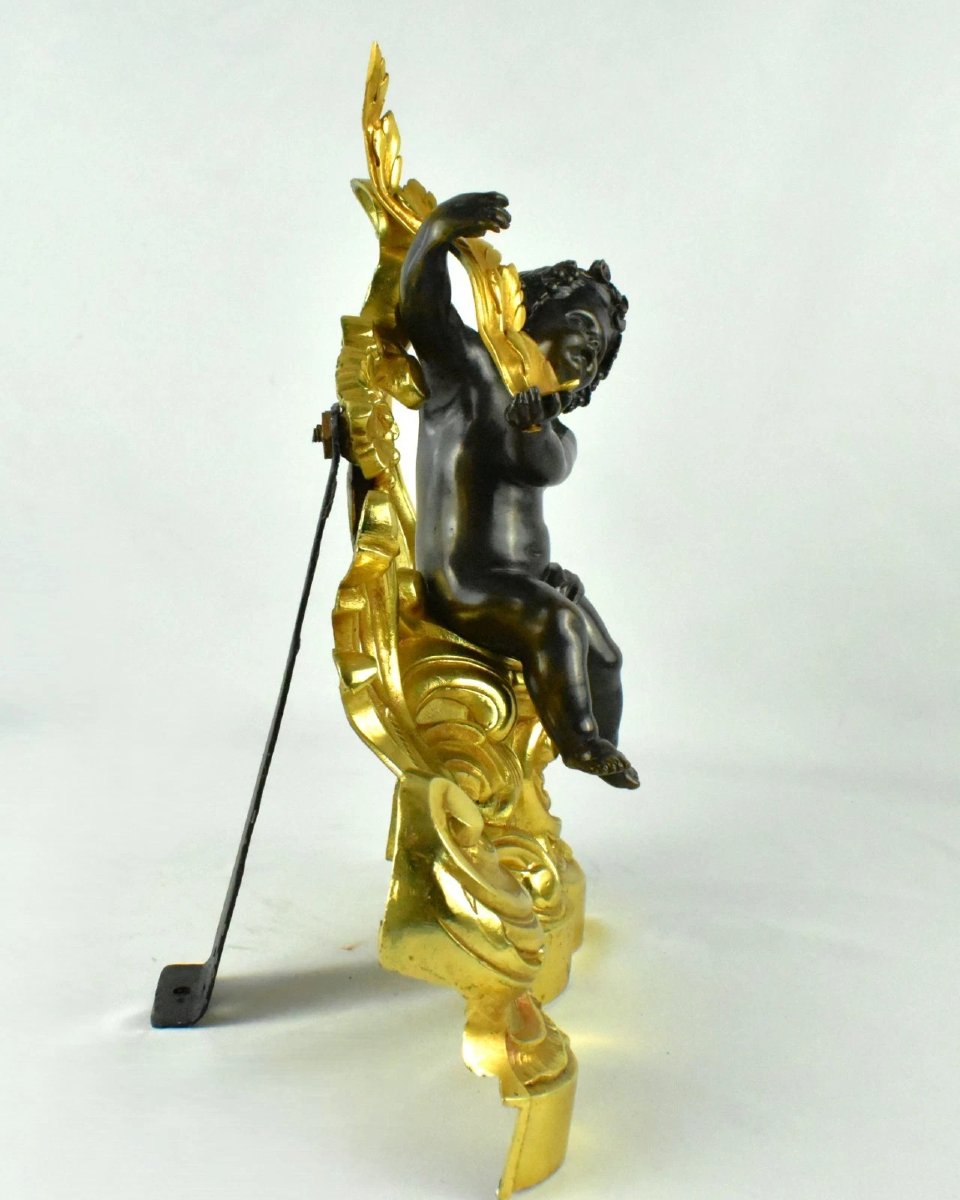 Pair Of French 19th-century Louis XV-style Gilt And Patinated Bronze Chenets-photo-5