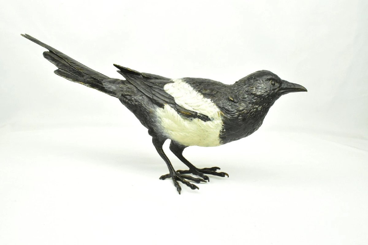 Sculpture d'oiseau pie en bronze de Vienne, signée Franz Bergman, peinte à froid.-photo-2