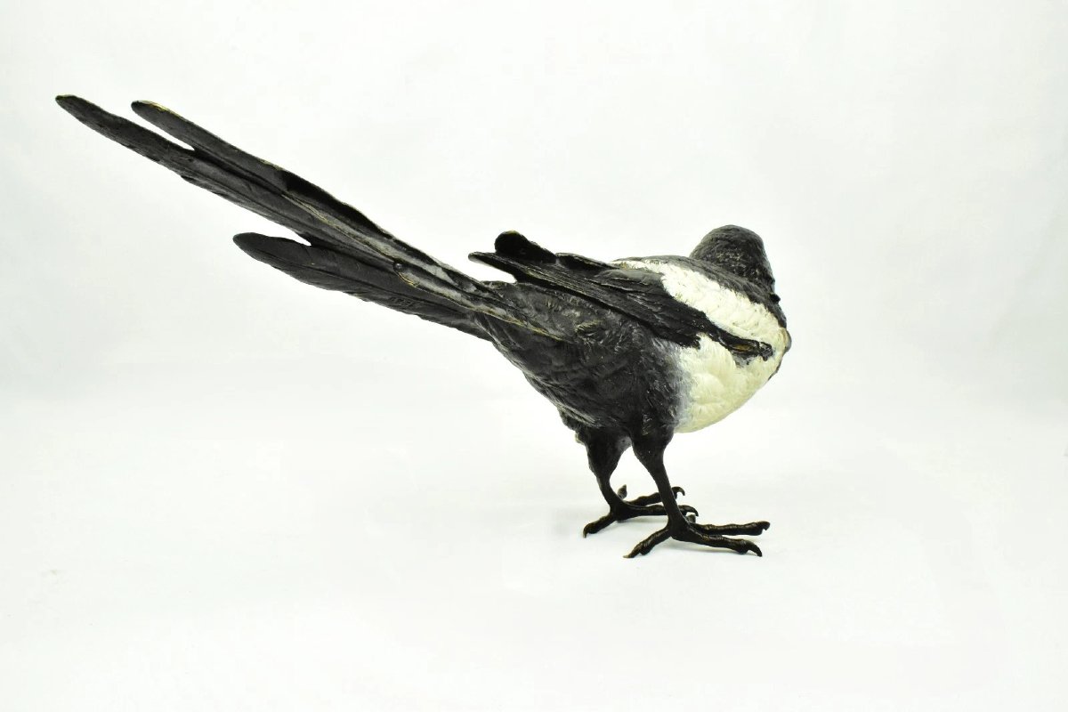 Sculpture d'oiseau pie en bronze de Vienne, signée Franz Bergman, peinte à froid.-photo-3